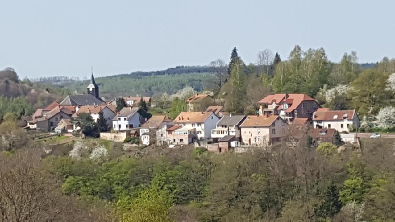 Au Chalet Bain Nordique neuf indépendant calme assuré Haselbourg Exterior foto